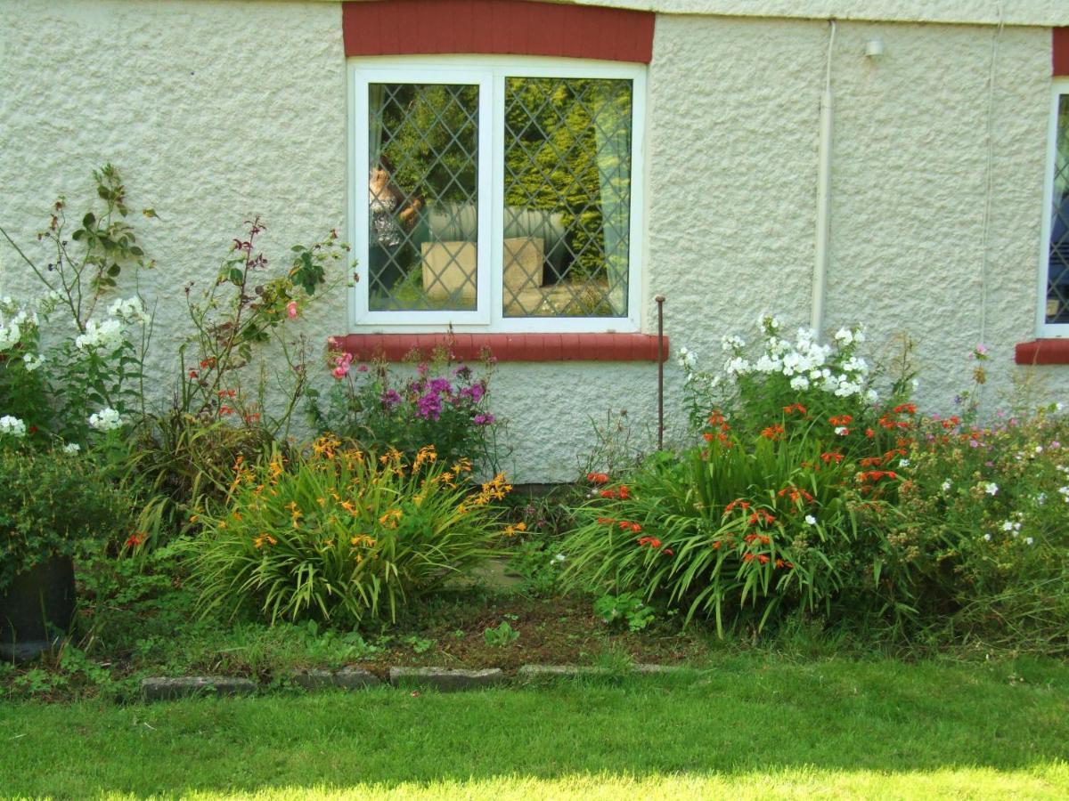 Firtrees Villa Selby Bagian luar foto